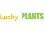 Lucky PLANTS